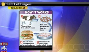 Stem Cell burgers
