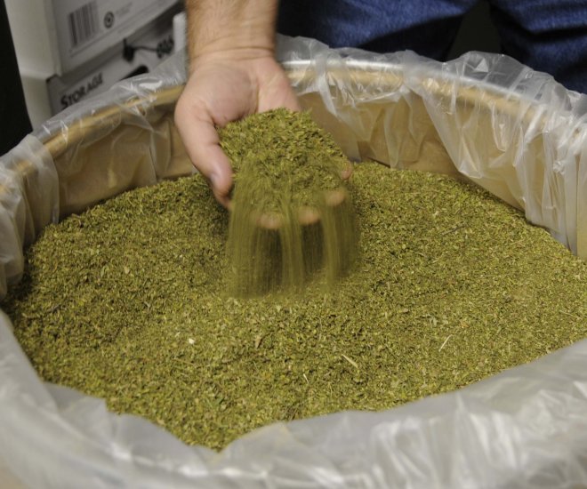 US - Marijuana Potency