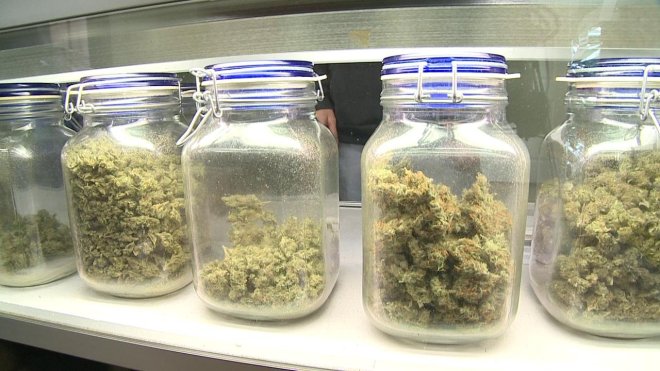 Medical Marijuana