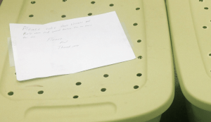 Note left on tote with kittens inside. It reads, "Please take these kittens and help them find good homes. It's to (sic) many for me."