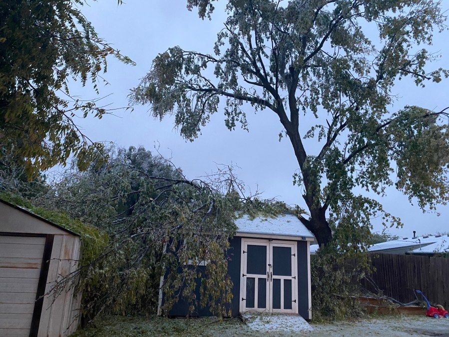 picture of ice storm damage