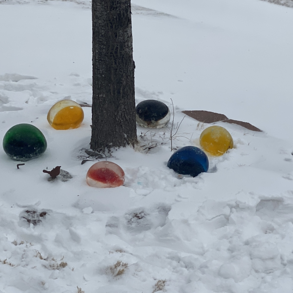 Filled balloons with food coloring and water and put outside over night. Rubbed off balloons and pretty Ice Balls.