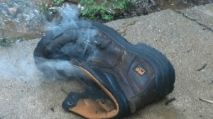 shoe